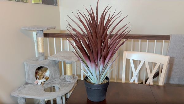 Hyper Realistic Big Red Artificial Aloe Vera Plant 26 Inches Tall. - Image 4