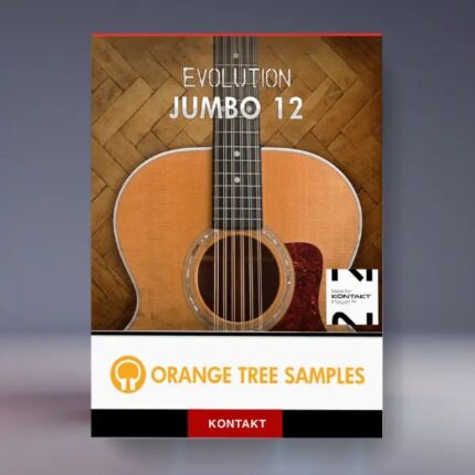 Buy Evolution Jumbo 12 | VST Marketplace